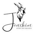 Joachim Safaris